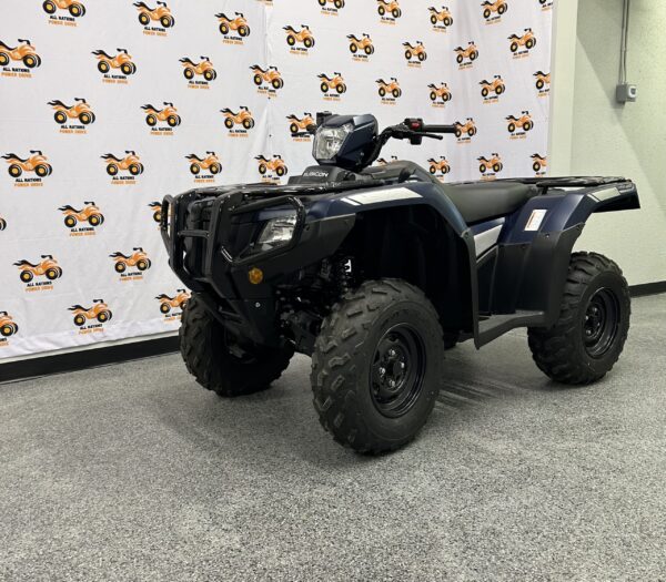 2024 Honda Rubicon 520 - Image 2