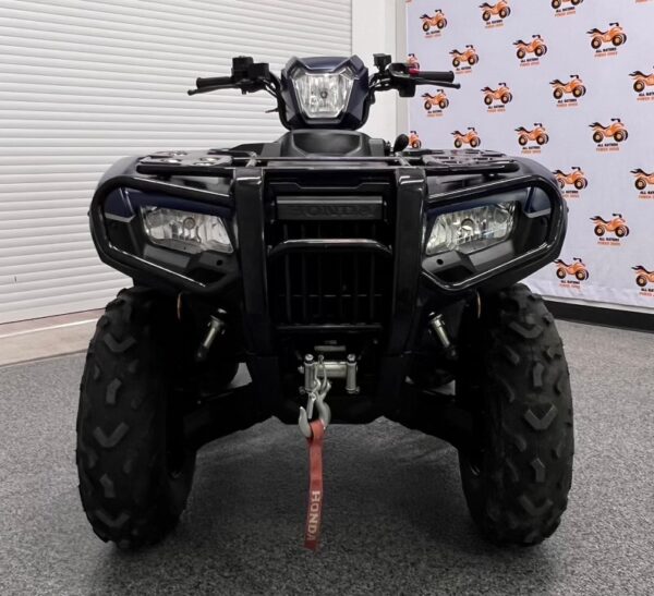 2024 Honda Rubicon 520 - Image 8