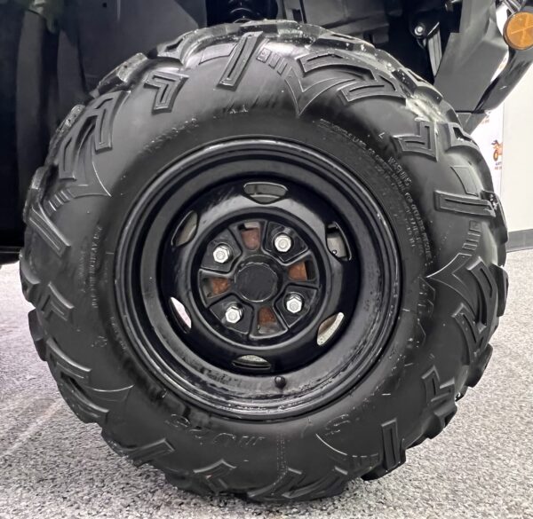 2020 HONDA RUBICON 520  P0394 - Image 13